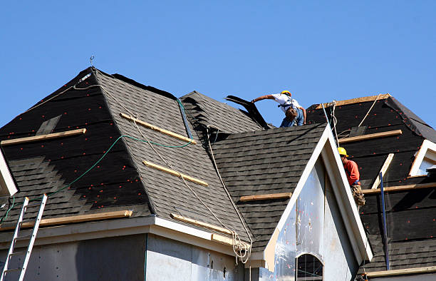 Best Metal Roofing Contractor  in Kingston, IL
